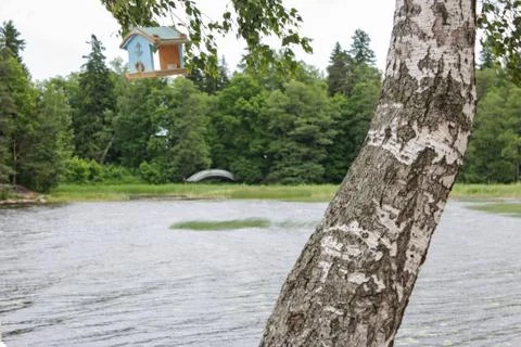 Birch with a birdhouse Stock Photos