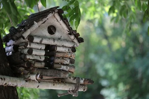 Birch birdhouse on a tree Stock Photos