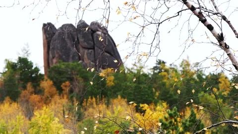 Birch branch on the background of the fall forest with a protruding rock. Stock Footage 296826928