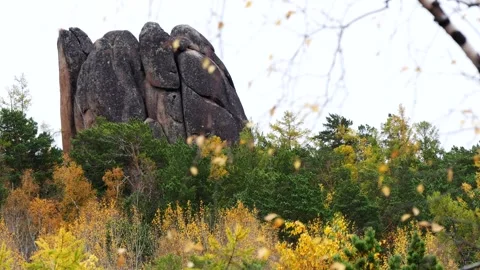 Birch branch on the background of the fall forest with a protruding rock. Stock Footage 296827029