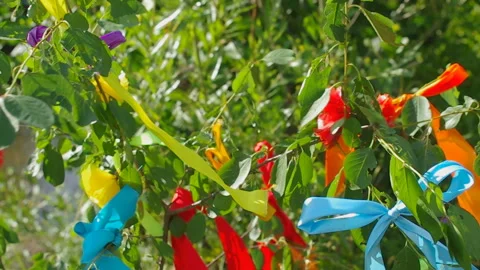 Birch branch with multi-colored ribbons Stock Footage 91964468