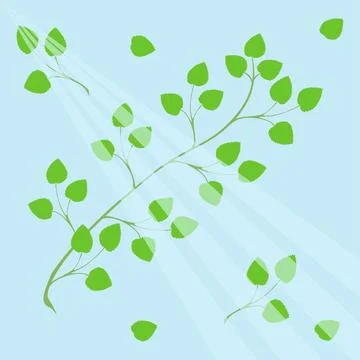 A birch branch in spring with fresh green leaves on a blue background with .. Stock Illustration