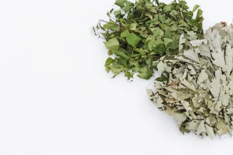 Birch broom is in the snow Stock Photos