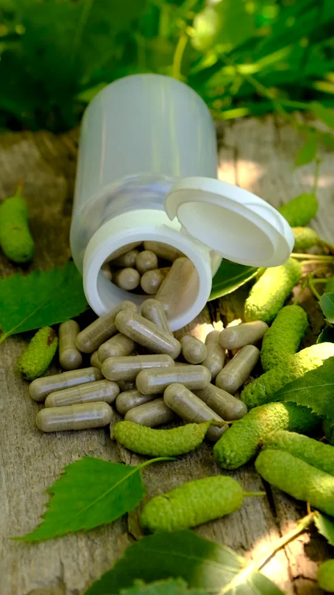 Birch buds extract and supplements. Selective focus. Stock Footage 313346832