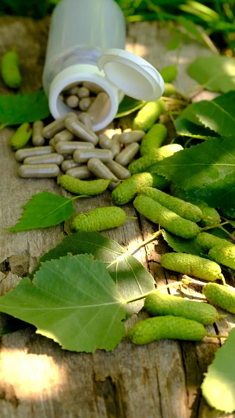 Birch buds extract and supplements. Selective focus. Stock Footage 313394918