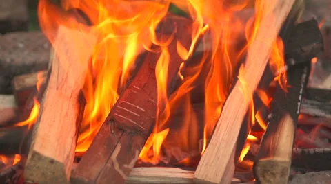 Birch firewood burn Stock Footage 55432228