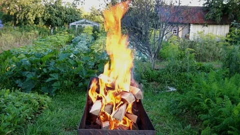 Birch firewood burns Stock Footage 79923463