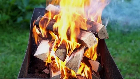 Birch firewood burns Stock Footage 79923475