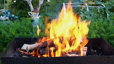 Birch firewood burns Stock Footage 79923502