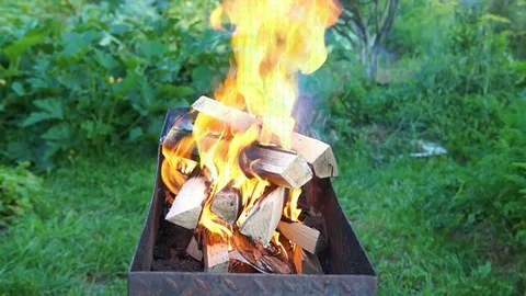 Birch firewood burns Stock Footage 79997887
