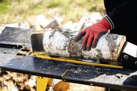 Birch firewood for fireplac Stock Photos