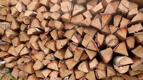 Birch firewood Stock Footage 76048721