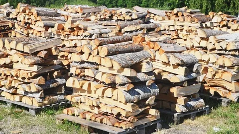 Birch firewood on pallets Stock Footage 95894791