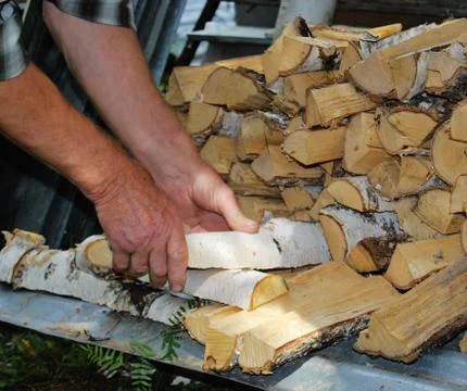 Birch firewood Foto stock
