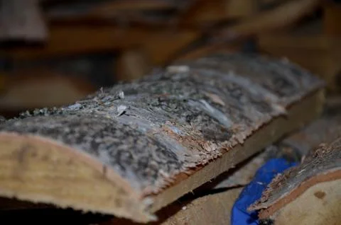 Birch firewood Stock Photos