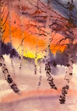 Birch forest Stock Illustration