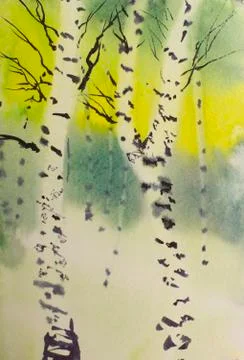 Birch forest Stock Illustration