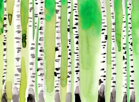 Birch forest Stock Illustration