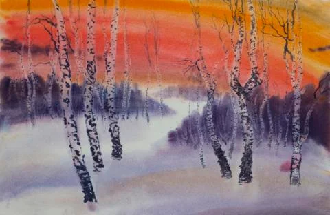 Birch forest at sunset of the day Stock Illustration