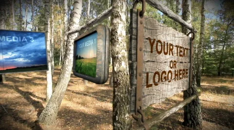 BIRCH GROVE 스톡 After Effects