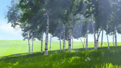 Birch grove edge in spring Stock Illustration