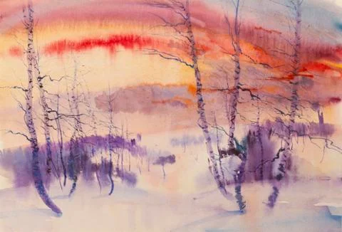 Birch Stock Illustration