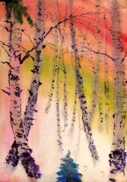 Birch Stock Illustration