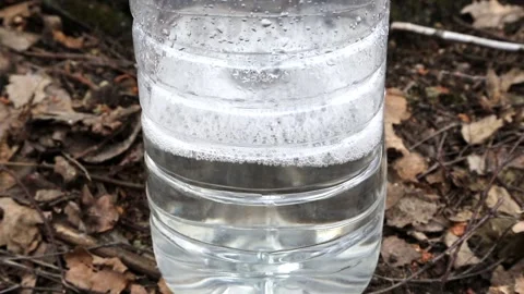 Birch juice drips into a plastic bottle Stock Footage 89194937