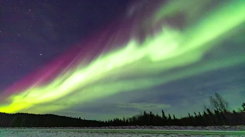 Birch Lake Aurora 스톡 동영상 240794642