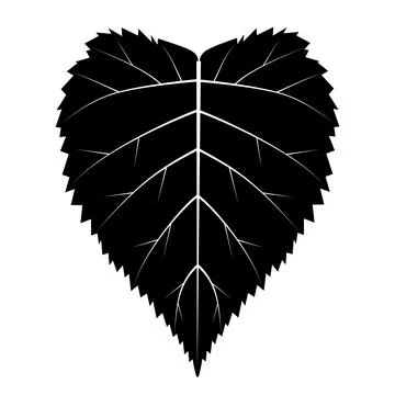 Birch leaf black and white logo Stock Illustration