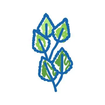 Birch leaf icon doodle illustration Stock Illustration