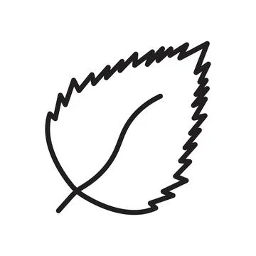 Birch leaf icon line art vector Stock Illustration