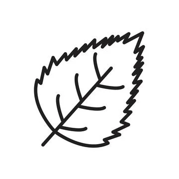 Birch Leaf Icon for Nature Art, Botanical Studies, and Eco-friendly Designs Stock Illustration