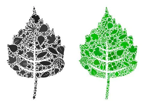 Birch Leaf Icon Nature Composition of Floral Elements Ilustración de archivo