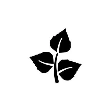Birch Leaf Pair, Organic Plant, Flora Solid Flat Vector Icon Isolated on Whit Stock Illustration