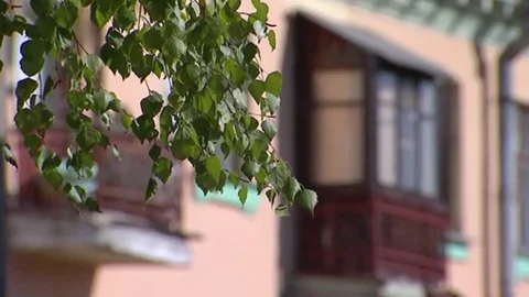 Birch leaves and old balcony Stock Footage