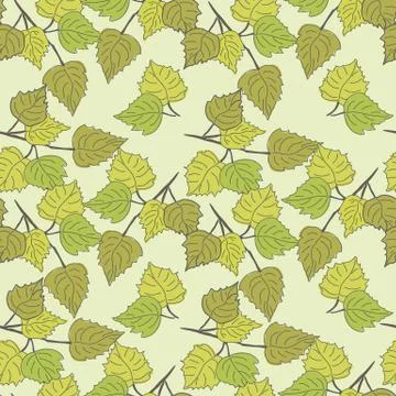 Birch leaves Stock Illustration