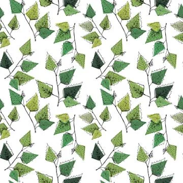Birch leaves pattern. Hand drawn green birch tree branches, birch leaves. Sea Stock Illustration