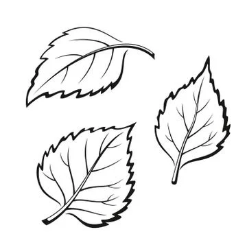 Birch Leaves, Pictogram Set Stock Illustration
