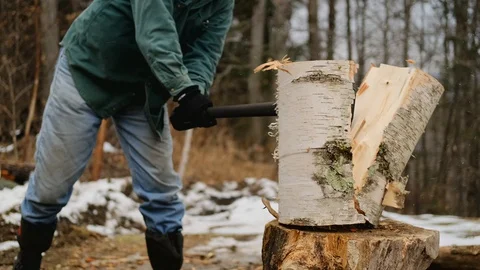 Birch log being split for firewood in slow motion Stock Footage 129336575