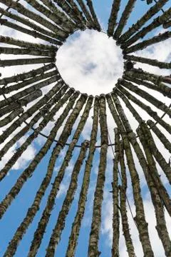 Birch logs on the background of the sky. Stock Photos