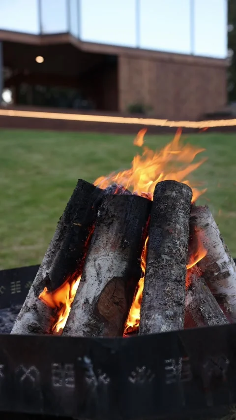 Birch logs burn in metal fire bowl on lawn at dusk, vertical view Stock Footage 324794803