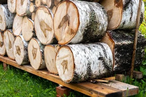 Birch logs for firewood. Stock Photos