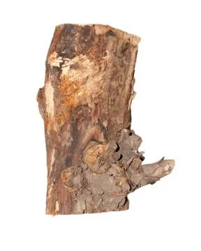 Birch logs isolated on the white background. Foto stock