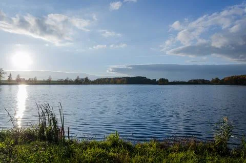 Birch on the ?oast lake. Reflection of light in the water from the rays of .. Stock Photos