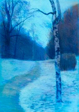 Birch park Stock Illustration