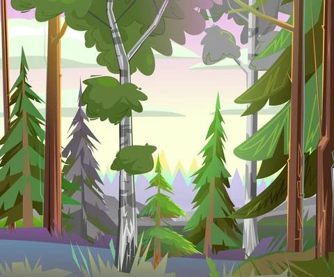 Birch in a pine forest. Beautiful scene in nature. Nice summer landscape in t Stock Illustration