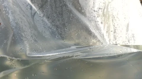 Birch sap flows into a plastic bag 動画素材 313443894