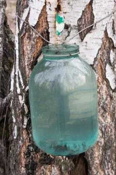 Birch sap Stock Photos