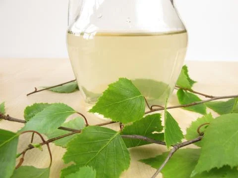 Birch sap Stock Photos